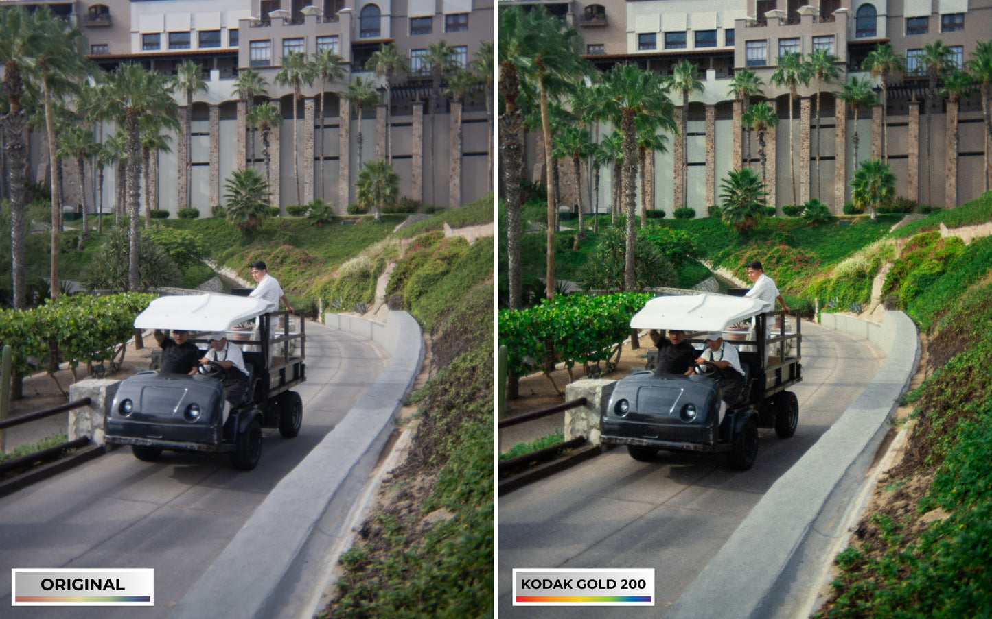 Film Simulation Presets (Digital Download)