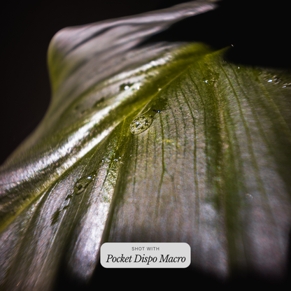 Pocket Dispo Macro
